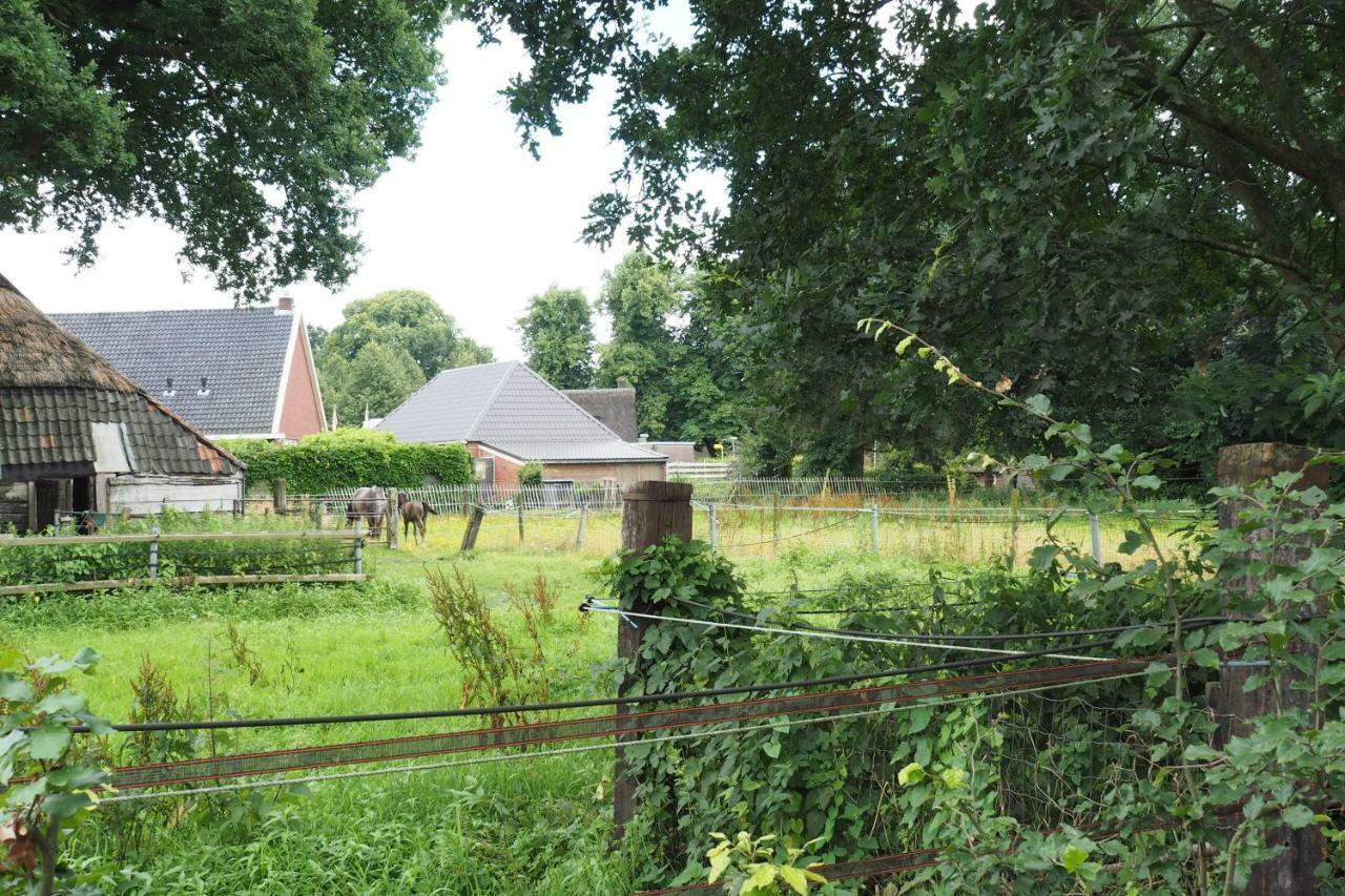 Het Centrum Norg Exterior photo